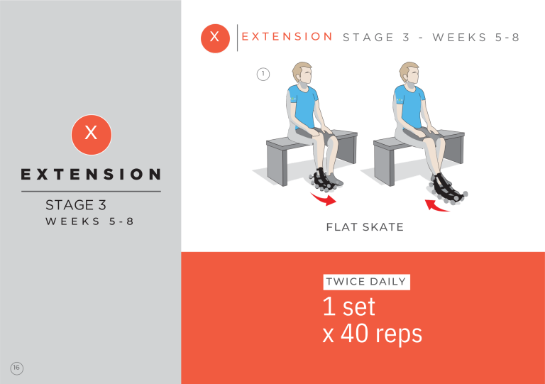 Imagine săptămânile 5-8 1