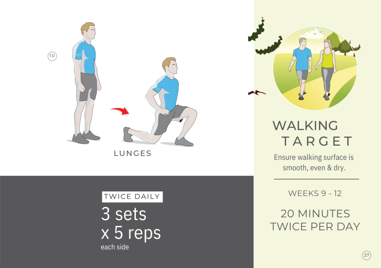 Imagine săptămânile 9-12 6